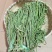 【精品贡菜】贡菜批发精选脱水蔬菜贡菜干货，全国供应