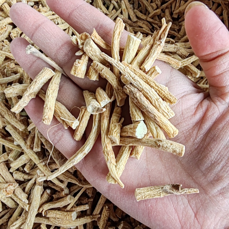 花旗参腿西洋参500克包邮泡水煮汤干货参味浓参丁腿批发