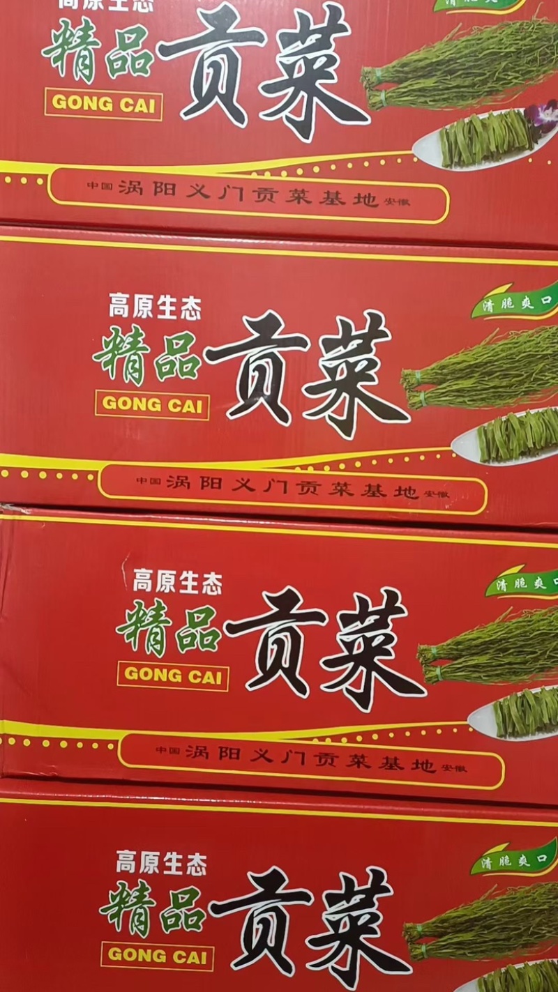 【精品贡菜】贡菜批发精选脱水蔬菜贡菜干货，全国供应