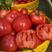 普罗旺斯水果西红柿陕西西红柿常年代办，包装工人全部到位