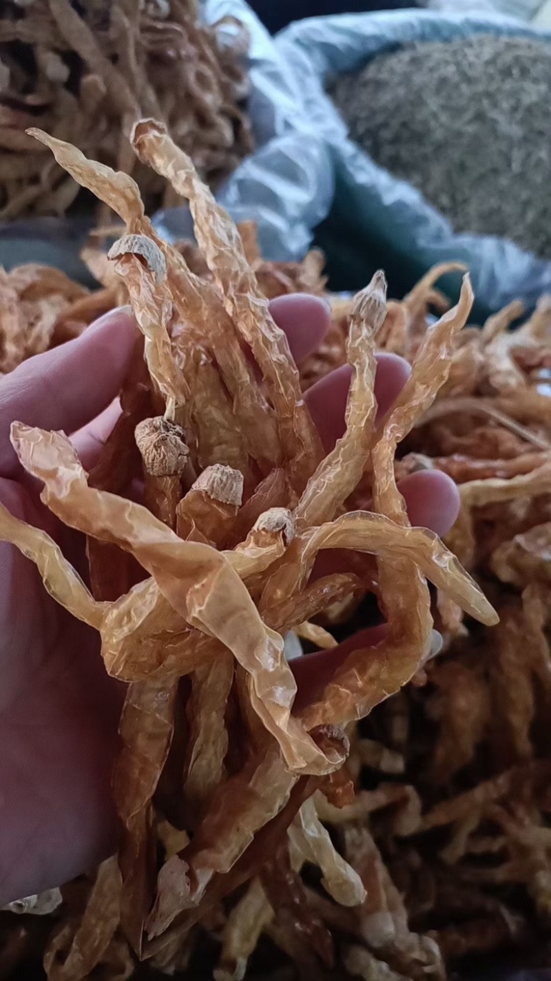 湖南土特产农家自制自然晾干精品辣椒