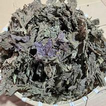 【紫苏叶】精品新鲜紫苏叶，干紫苏叶，干货无硫