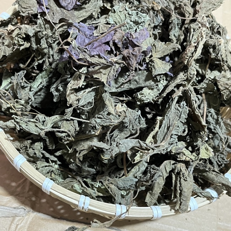 【紫苏叶】精品新鲜紫苏叶，干紫苏叶，干货无硫