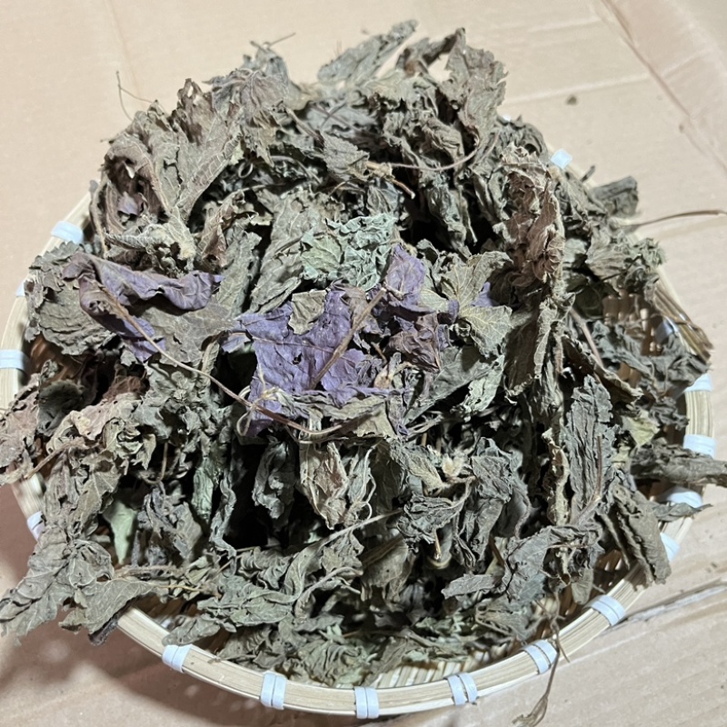 【紫苏叶】精品新鲜紫苏叶，干紫苏叶，干货无硫