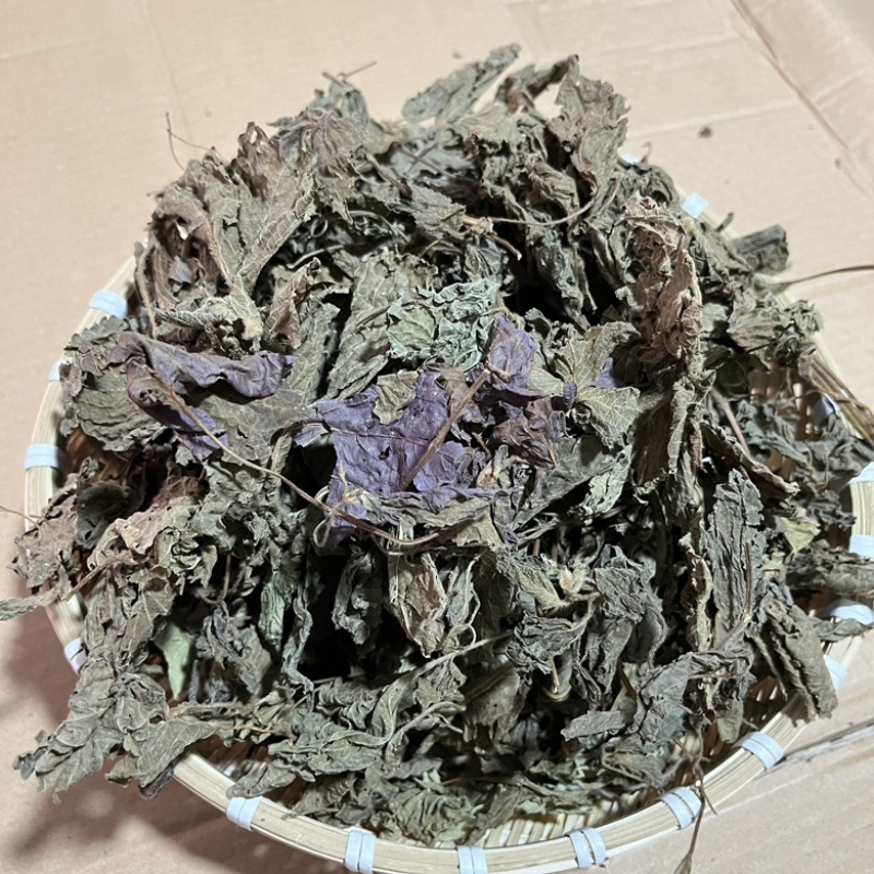【紫苏叶】精品新鲜紫苏叶，干紫苏叶，干货无硫