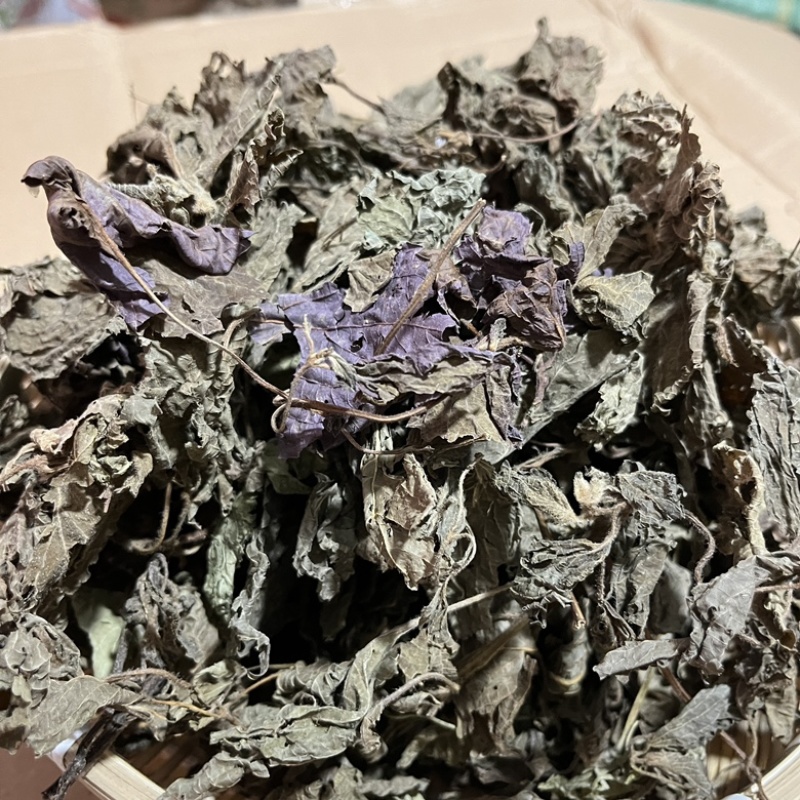 【紫苏叶】精品新鲜紫苏叶，干紫苏叶，干货无硫
