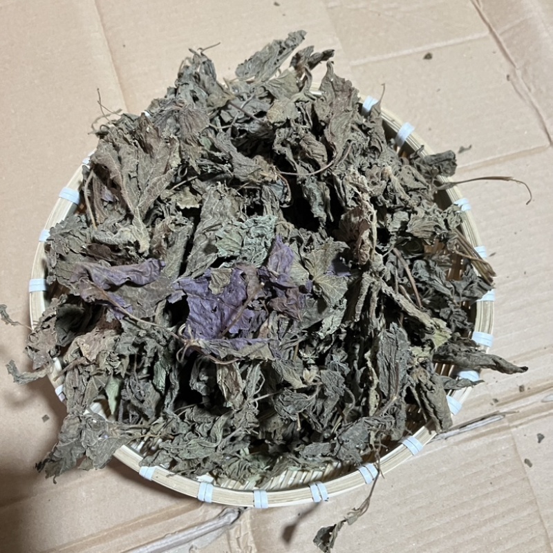 【紫苏叶】精品新鲜紫苏叶，干紫苏叶，干货无硫