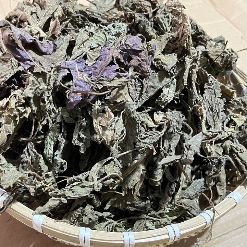 【紫苏叶】精品新鲜紫苏叶，干紫苏叶，干货无硫