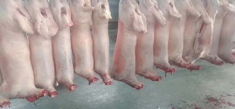 【内蒙古草原牛肉】白条肉无任何添加剂，放心肉健康肉