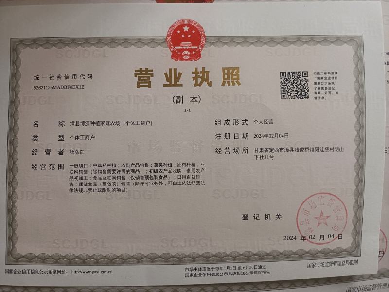 甘肃定西漳县遮阳山特产高山白条无硫当季新当参