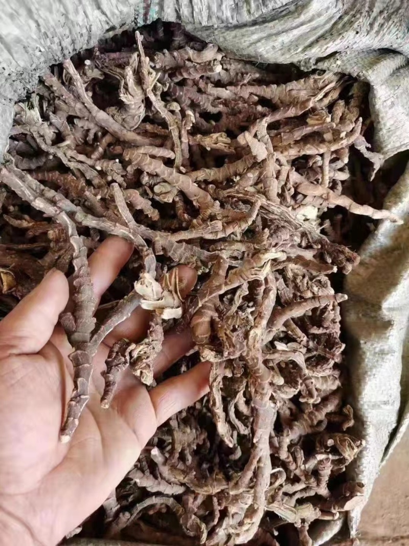 石菖蒲干货去根须干净无杂质货源充足质量保证