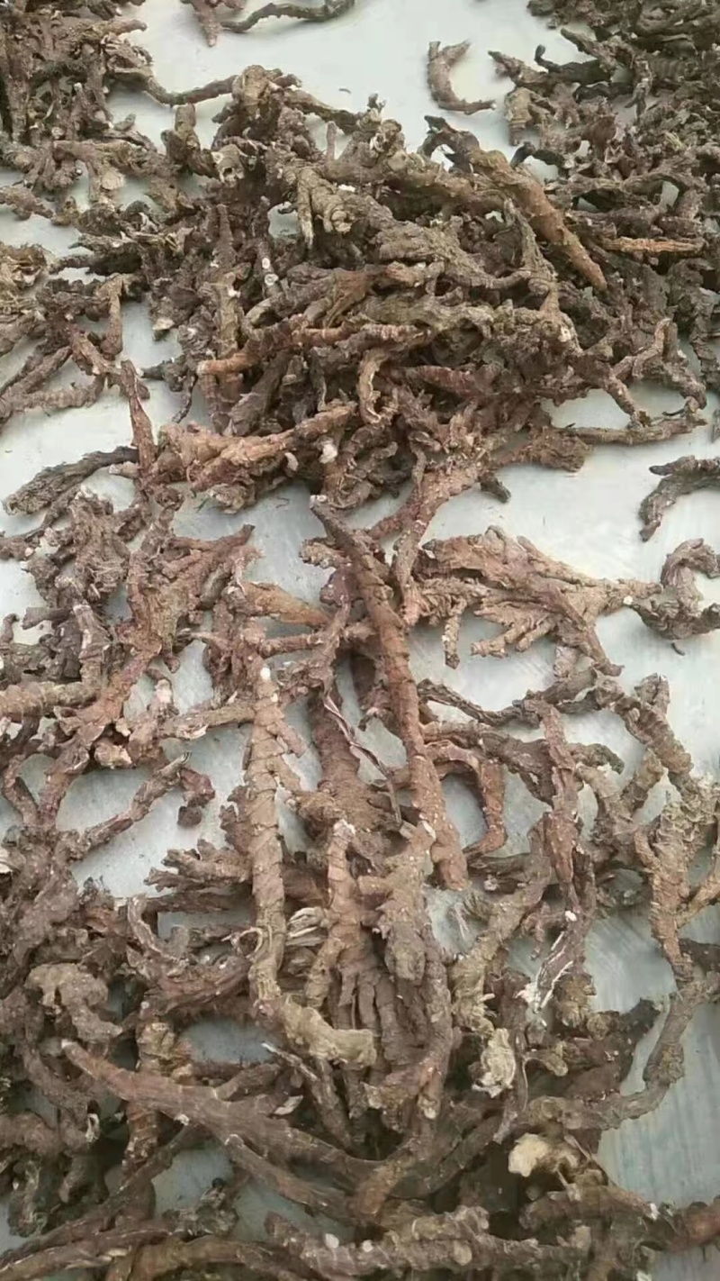 石菖蒲干货去根须干净无杂质货源充足质量保证