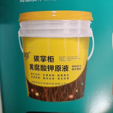碳掌柜黄腐酸，促生长，补养抗逆，养根护土，提质增产。