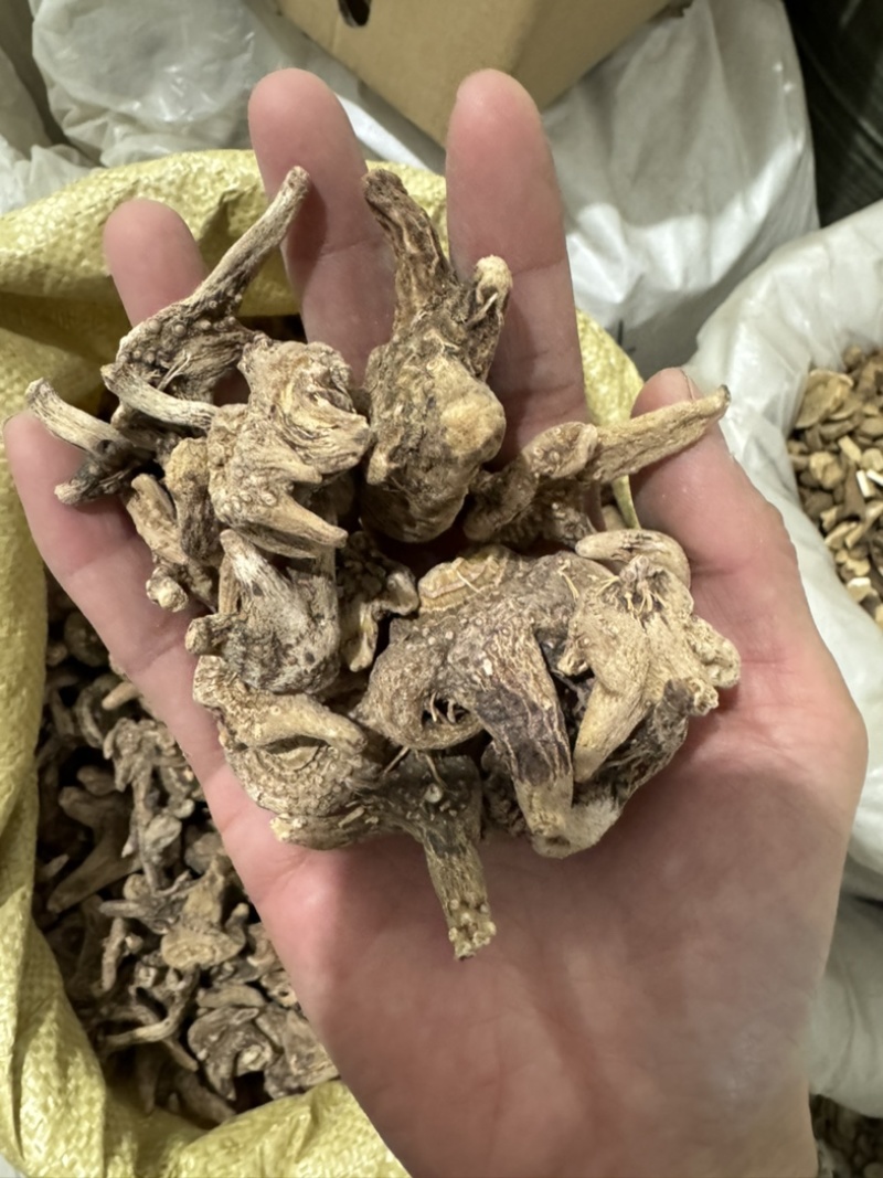 白芨正品白芨个三叉白芨白芨片干货保庆白及