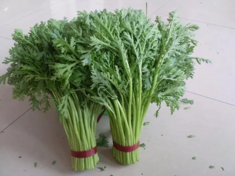 【基地发货】茼蒿，江苏淮安茼蒿，全国发货，对接市场电商