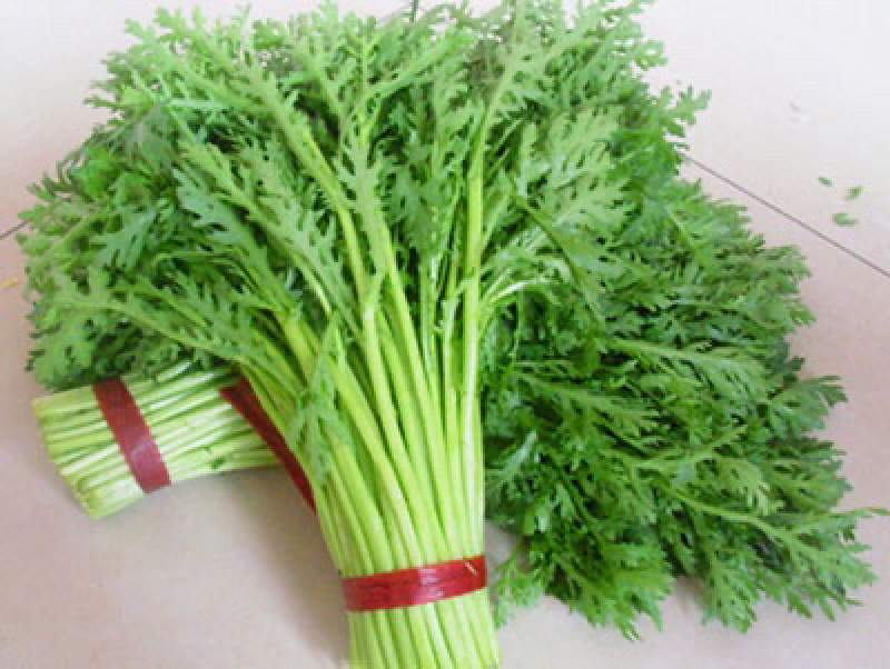【基地发货】茼蒿，江苏淮安茼蒿，全国发货，对接市场电商