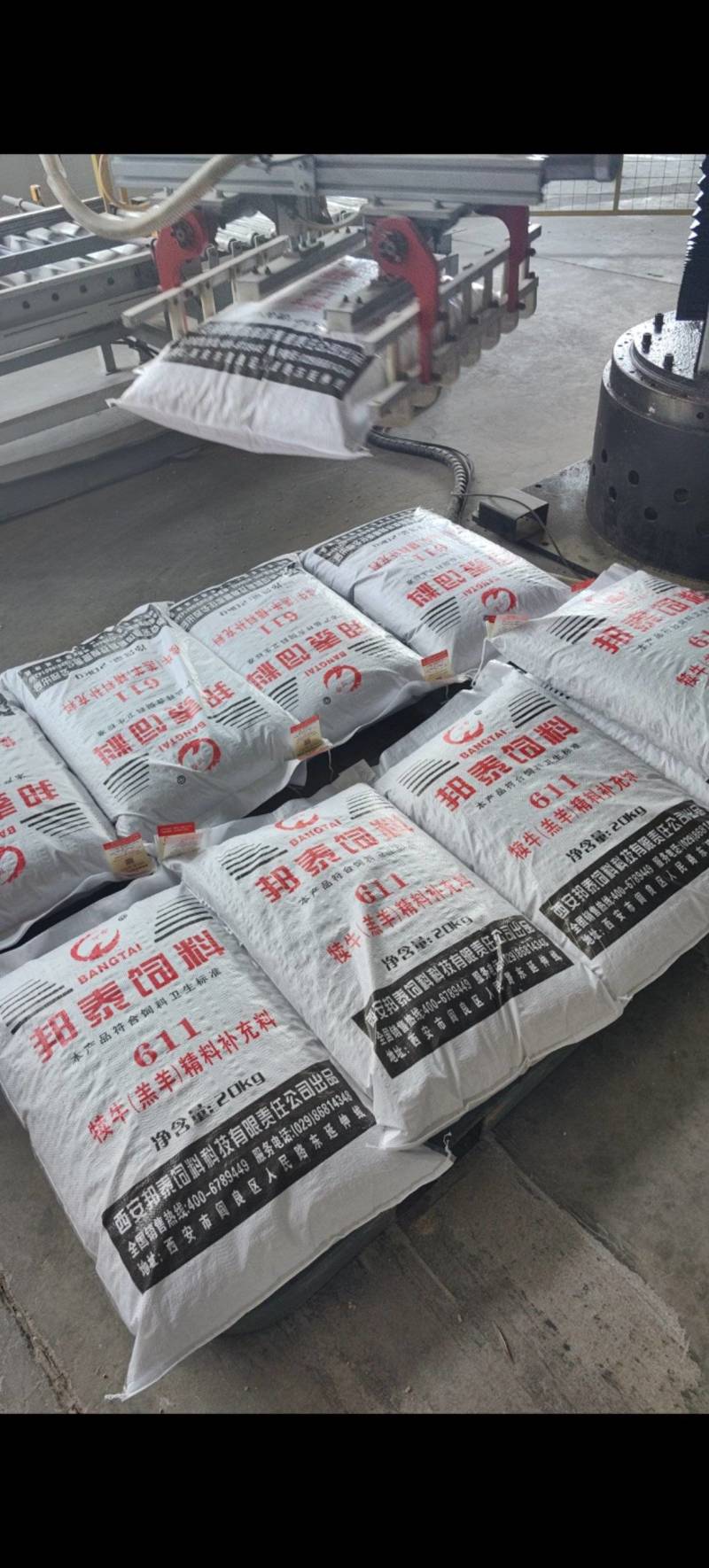 犊牛羔羊精补充料，611犊牛羔羊精补充料