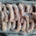 小猪头肉厂家直销量大从优欢迎老板来电咨询可视频