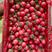 安阳滑县千禧圣女果，红圆果，黄果，基地直供商超市场