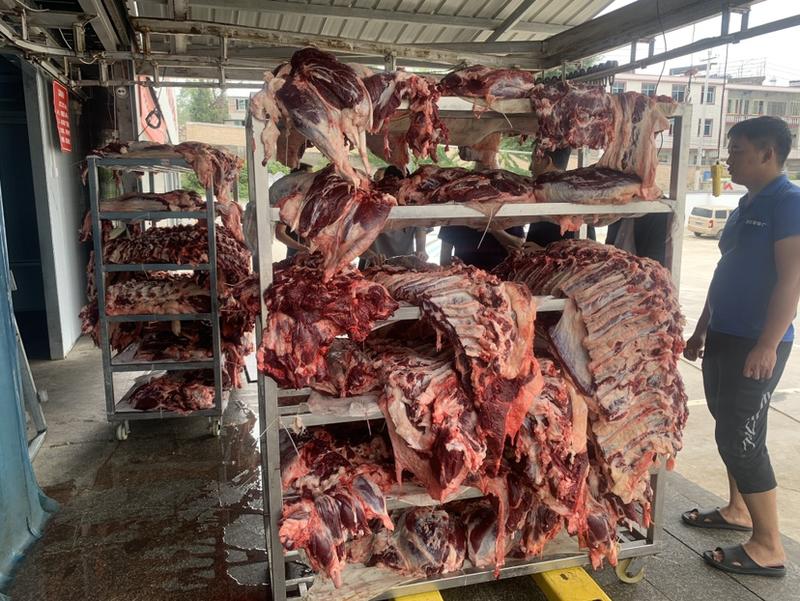 新鲜无水黄牛肉自家工厂批发现杀现发量大优惠
