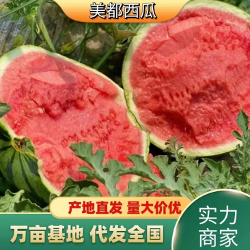 【牛商】河南精品美都西瓜大量上市，产区直发，口感脆甜多汁