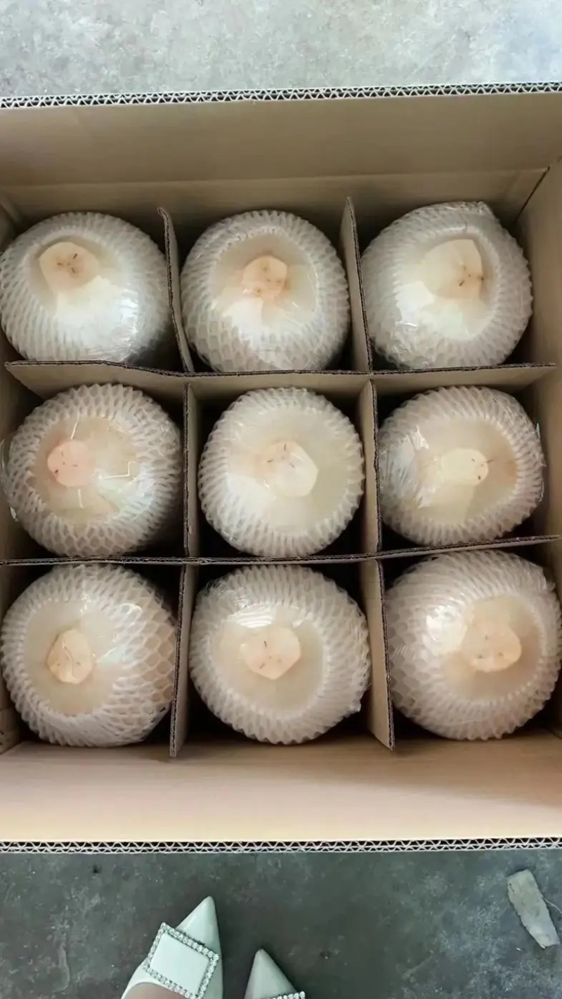 【推荐】海南精品椰子对接全国商超电商平台欢迎联系