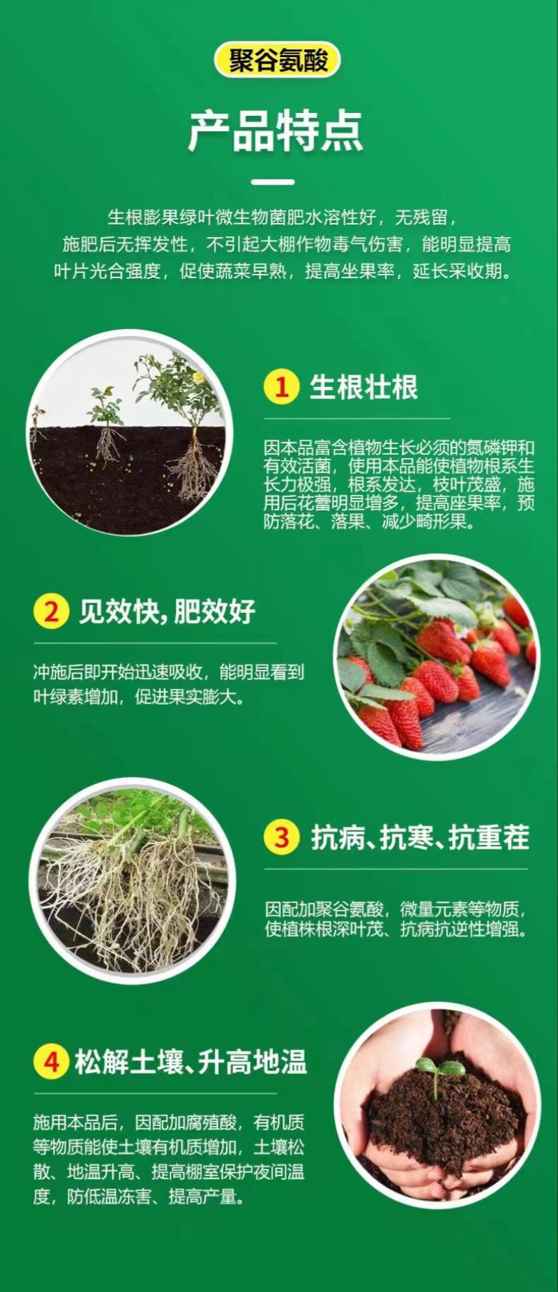 叶面肥聚谷氨酸每瓶10,快速膨果，生根壮根，抗病抗逆