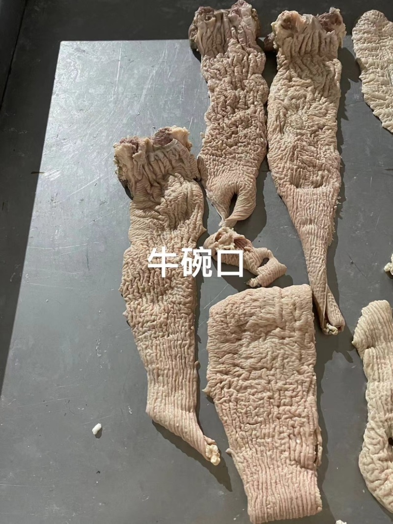 牛大肠头，牛碗口，公牛厚实，抛开去油，熟度高，专业加工。