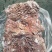 牛大肠头，牛碗口，公牛厚实，抛开去油，熟度高，专业加工。