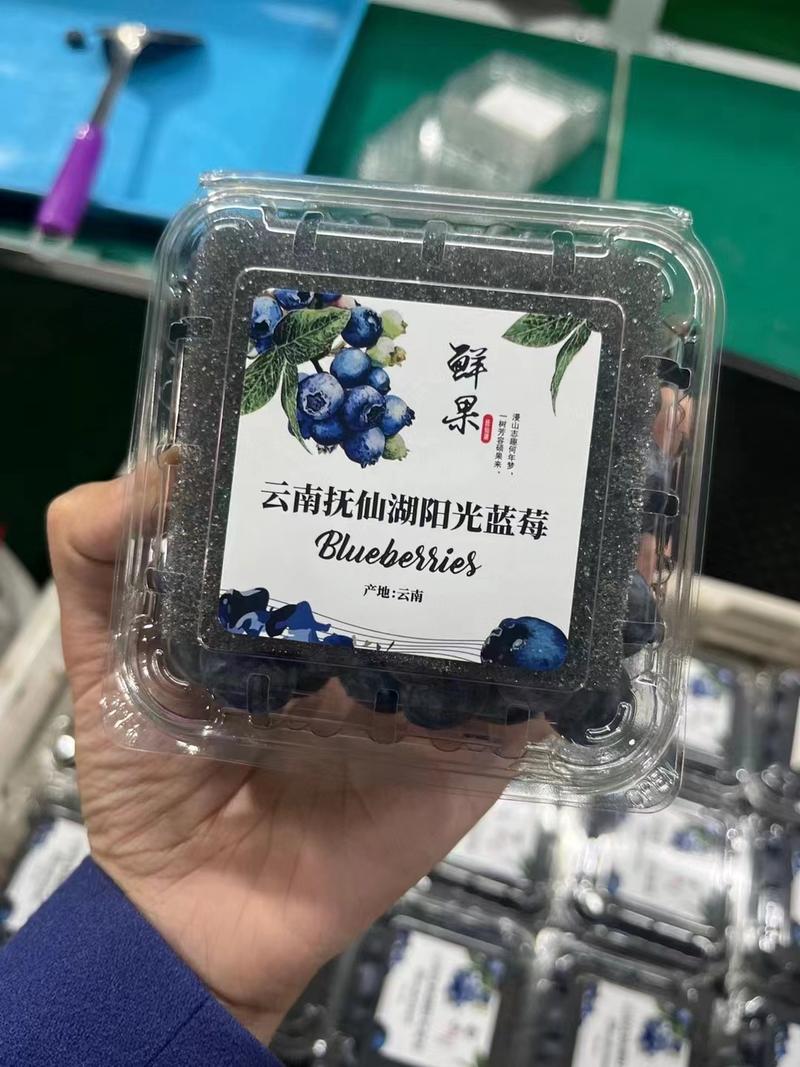云南蓝莓电商，市场，一件代发
