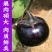 圆茄子苗带土发货