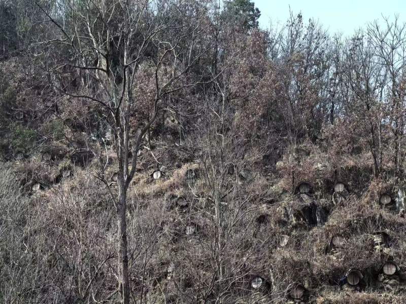 大山深处一年采一次的野生土蜂蜜百花蜜欢迎联系