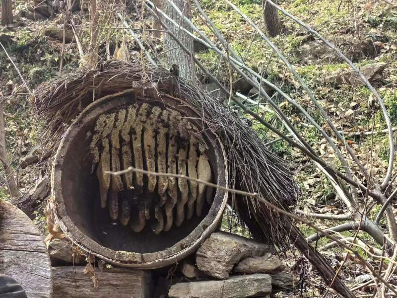 大山深处一年采一次的野生土蜂蜜百花蜜欢迎联系