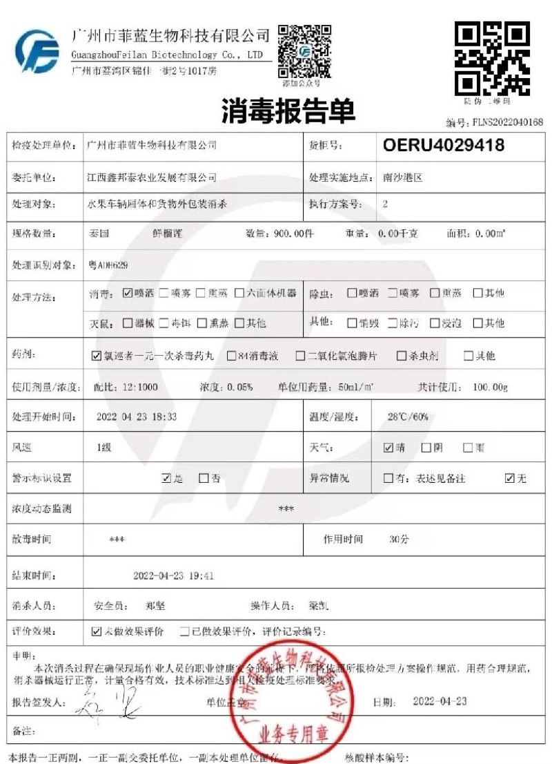 泰国东部金枕头巴掌一手货源批发，干肉黄包软糯香甜，包邮