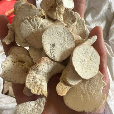 天花粉保庆药业批发天花粉实物拍摄！