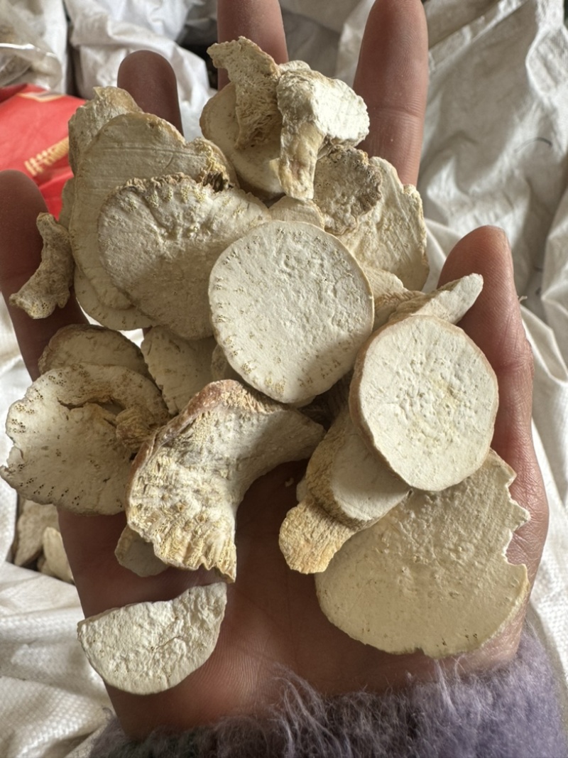 天花粉保庆药业批发天花粉实物拍摄！