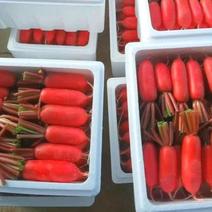 红皮萝卜新鲜萝卜2024货源充足大量现货供应