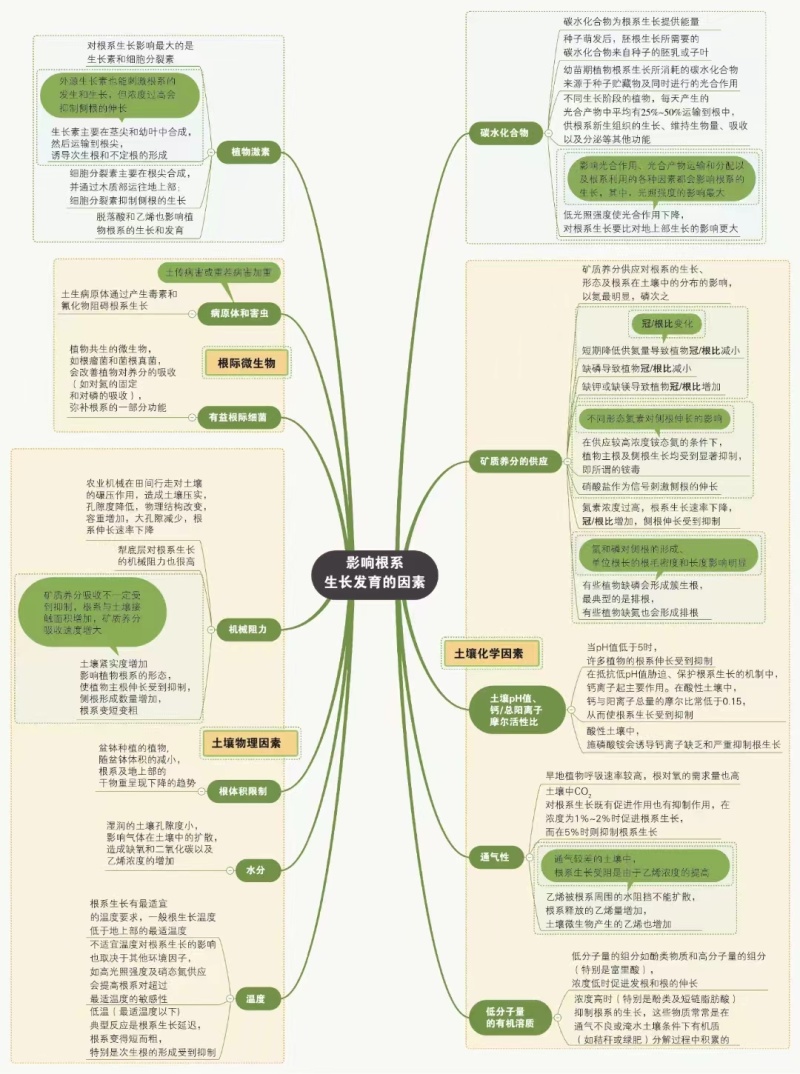 （生根粉）包邮强力生根，微量元素水溶肥，质量有保障