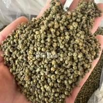 吴茱萸保庆药业批发吴茱萸实物拍摄发货如图小花吴茱萸