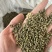 吴茱萸保庆药业批发吴茱萸实物拍摄发货如图小花吴茱萸