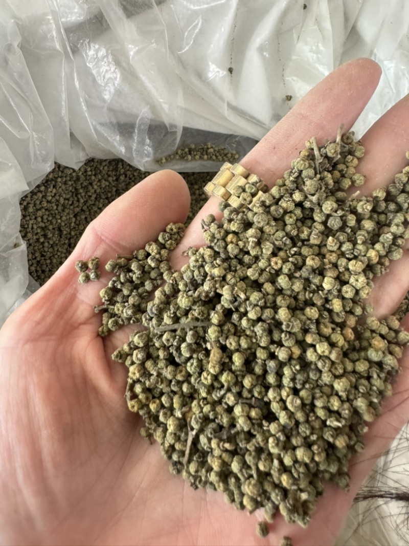 吴茱萸保庆药业批发吴茱萸实物拍摄发货如图小花吴茱萸