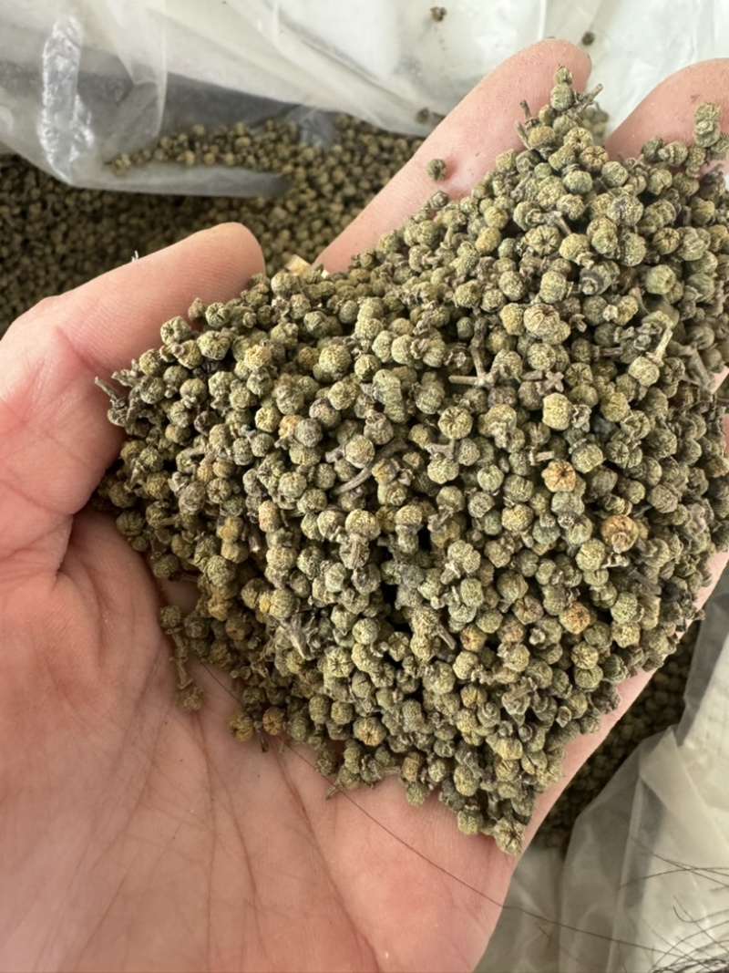 吴茱萸保庆药业批发吴茱萸实物拍摄发货如图小花吴茱萸