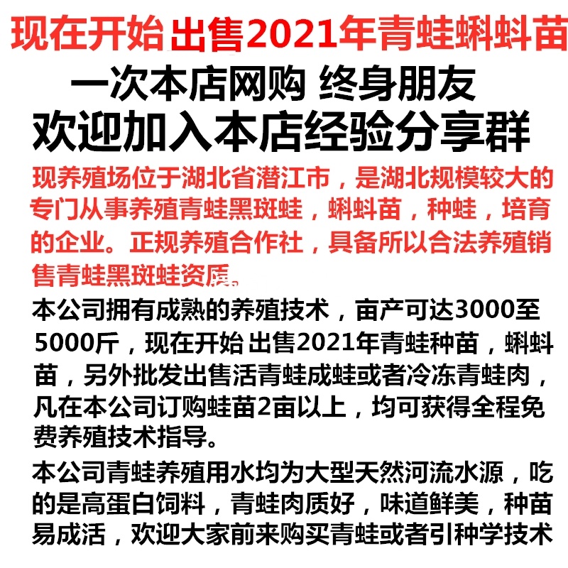 青蛙蝌蚪苗出售黑斑蛙卵块小青蛙幼蛙大青蛙养殖基地直销