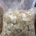 精品西洋参片