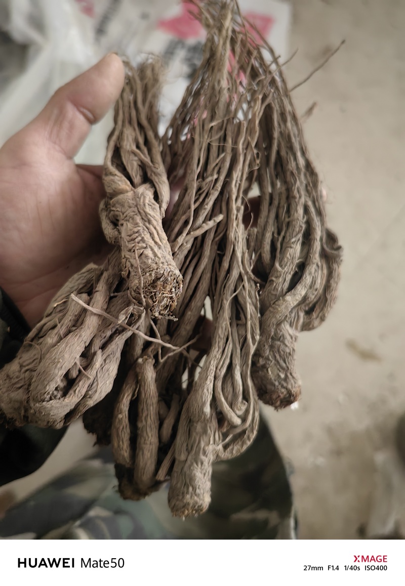无硫当归个子当归身地道药材专注品质产地直销