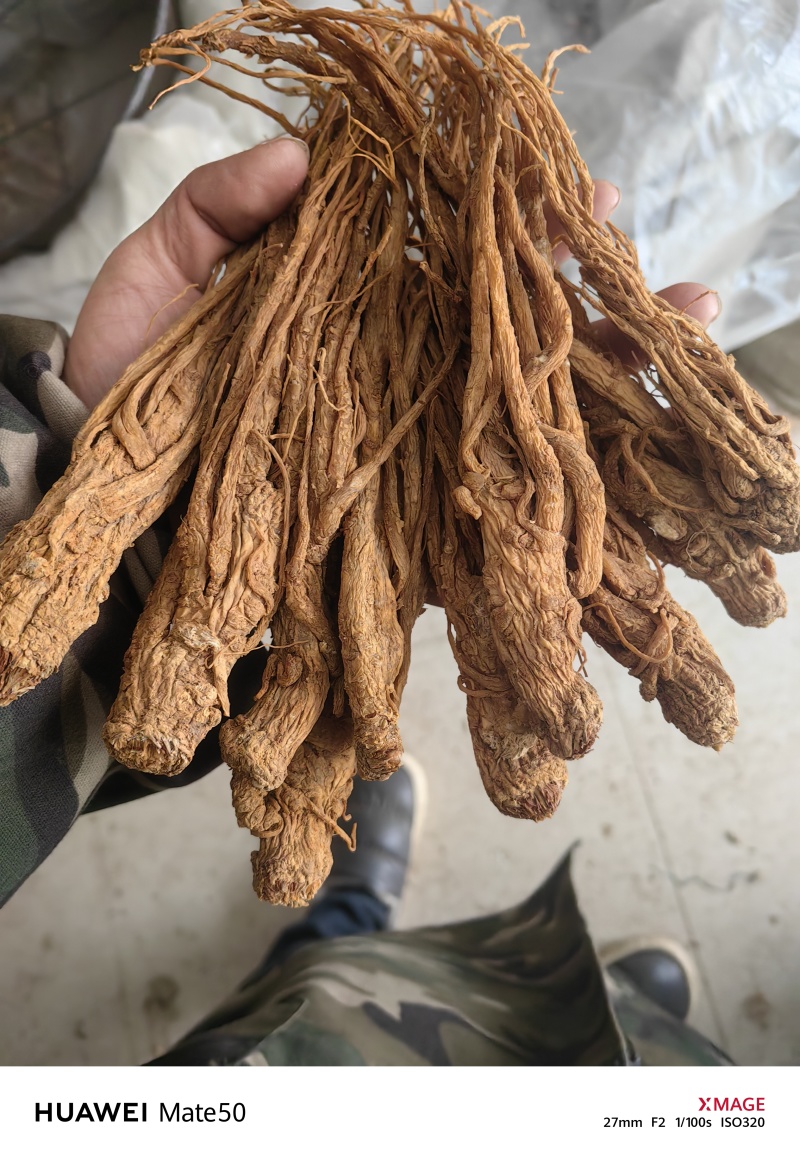 无硫当归个子当归身地道药材专注品质产地直销