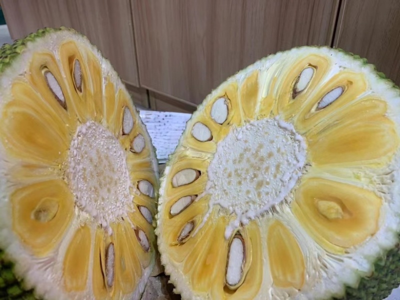 海南菠萝蜜嘎嘣脆