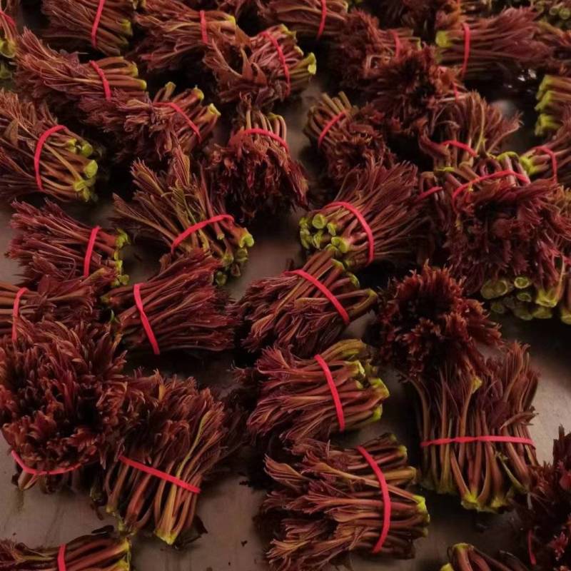 精品红油香椿正式上市。质量保证