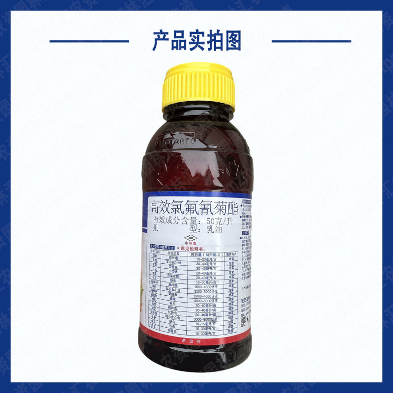 龙灯高捷50高效氯氟氰菊酯茶树荔枝蒂蛀虫蚜虫食心虫小菜蛾