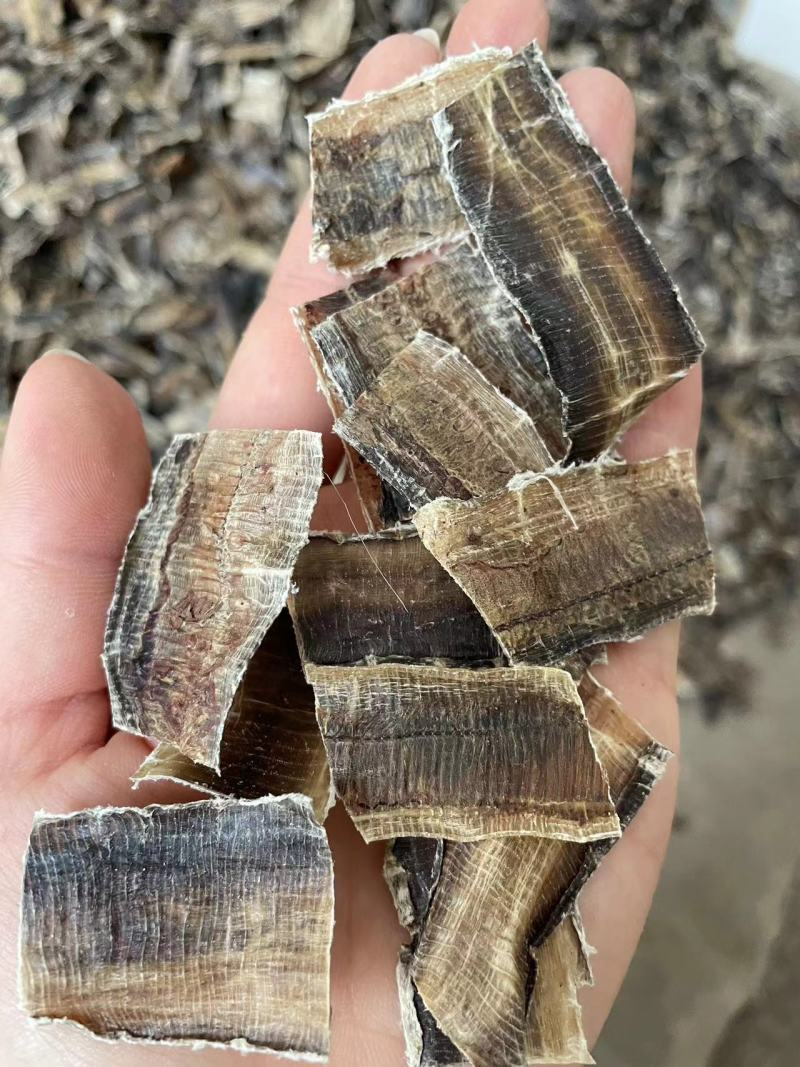 广地龙片大地龙片刀工整齐漂亮万信药业只做精品
